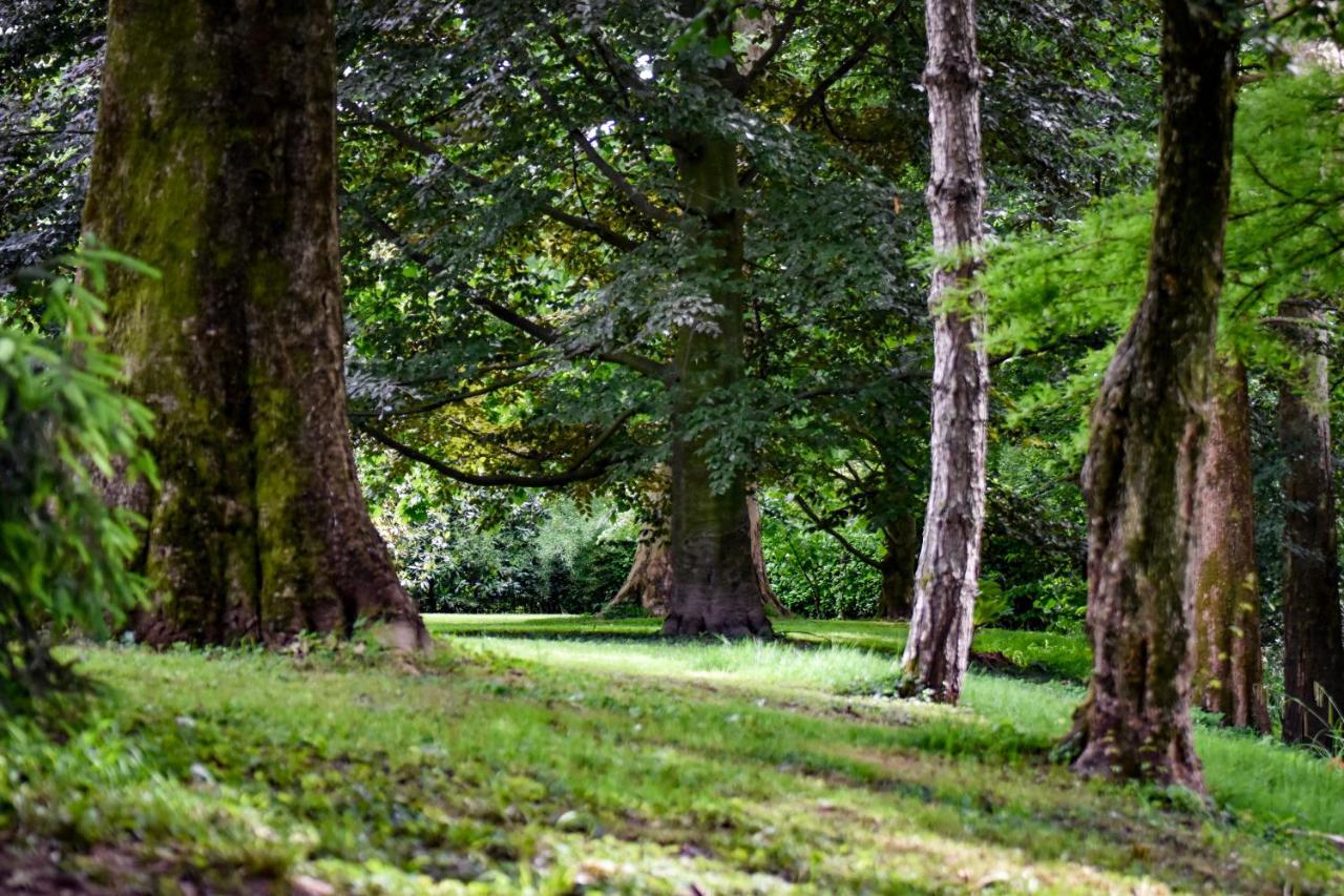Villa Solatia Caldogno Bagian luar foto